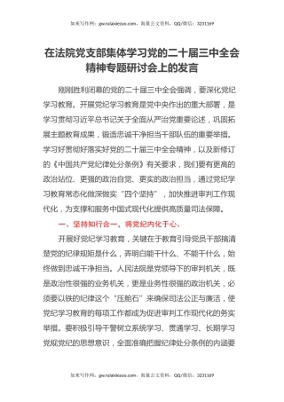 在法院党支部集体学习党的二十届三中全会精神专题研讨会上的发言