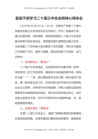 基层干部学习二十届三中全会精神心得体会