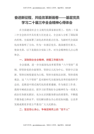 奋进新征程，共绘改革新画卷——基层党员学习二十届三中全会精神心得体会