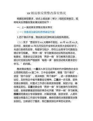 xx镇巡察反馈整改落实情况