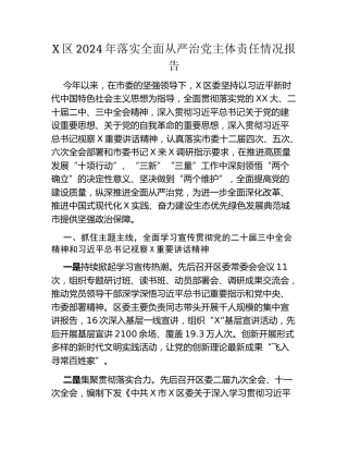 X区2024年落实全面从严治党主体责任情况报告