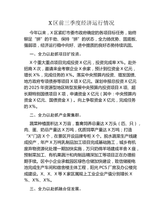 X区前三季度经济运行情况