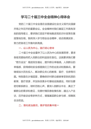 学习二十届三中全会精神心得体会（乡镇领导）