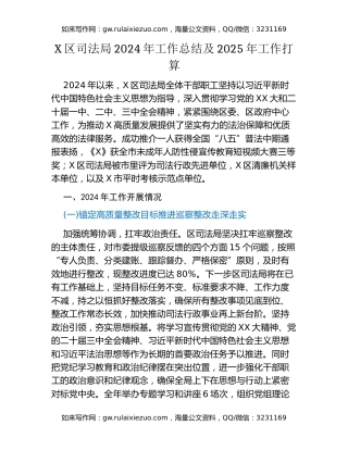 X区司法局2024年工作总结及2025年工作打算