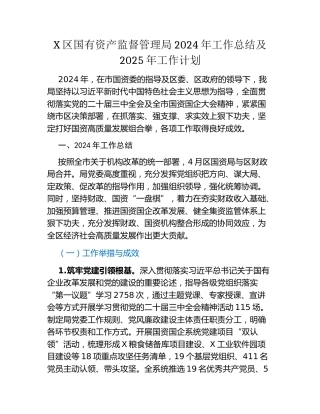 X区国有资产监督管理局2024年工作总结及2025年工作计划