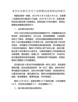 X区妇女联合会关于巡察整改进展情况的报告