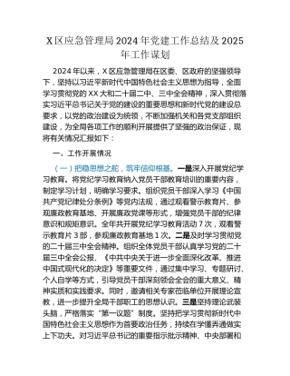 X区应急管理局2024年党建工作总结及2025年工作谋划