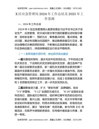 X区应急管理局2024年工作总结及2025年工作思路