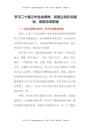 学习二十届三中全会精神，加强公安队伍建设，铸就忠诚警魂