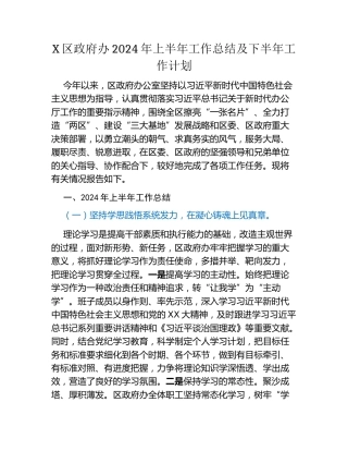 X区政府办2024年上半年工作总结及下半年工作计划