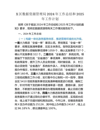X区数据资源管理局2024年工作总结和2025年工作计划
