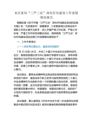 X区某局“三严三治”深化作风建设工作进展情况报告