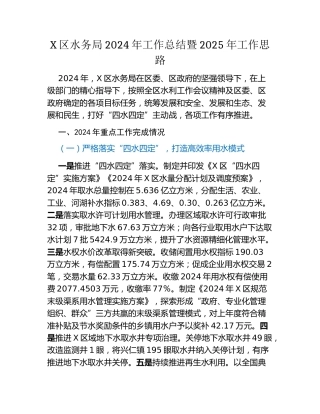 X区水务局2024年工作总结暨2025年工作思路