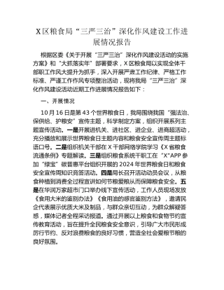 X区粮食局“三严三治”深化作风建设工作进展情况报告