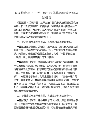 X区粮食局“三严三治”深化作风建设活动总结报告