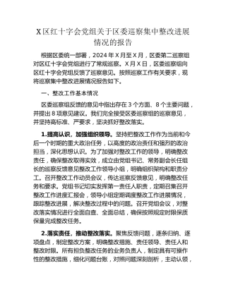 X区红十字会党组关于区委巡察集中整改进展情况的报告