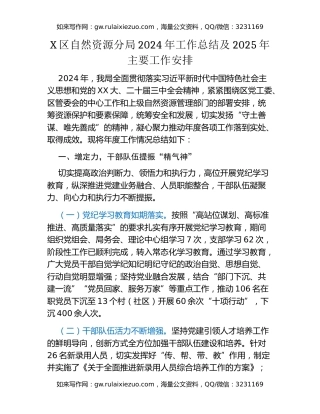 X区自然资源分局2024年工作总结及2025年主要工作安排