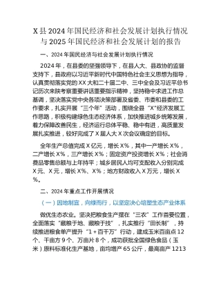 X县2024年国民经济和社会发展计划执行情况与2025年国民经济和社会发展计划的报告