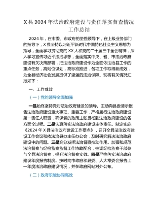 X县2024年法治政府建设与责任落实督查情况工作总结
