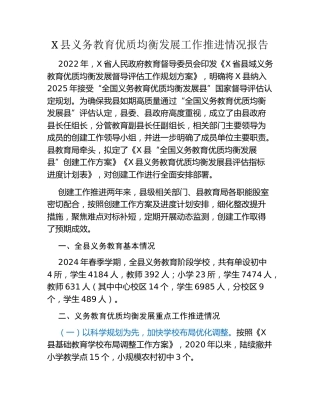 X县义务教育优质均衡发展工作推进情况报告
