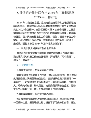 X县供销合作社联合社2024年工作情况及2025年工作计划