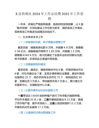 X县供销社2024年工作总结暨2025年工作思路
