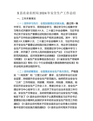 X县农业农村局2024年安全生产工作总结