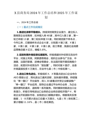 X县商务局2024年工作总结和2025年工作谋划