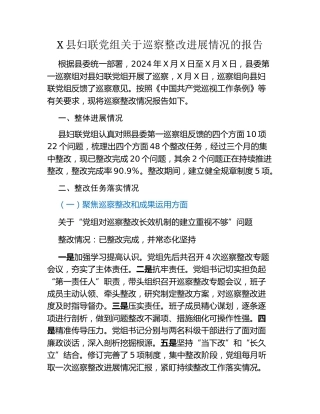 X县妇联党组关于巡察整改进展情况的报告
