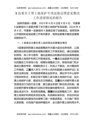 X县委关于黑土地保护专项巡察反馈意见整改工作进展情况的报告