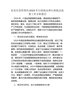 X县应急管理局2024年行政执法和行政执法监督工作分析报告