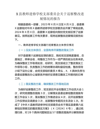 X县教师进修学校支部委员会关于巡察整改进展情况的报告