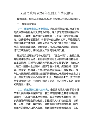 X县民政局2024年全面工作情况报告