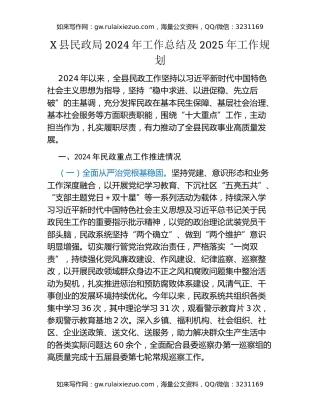 X县民政局2024年工作总结及2025年工作规划