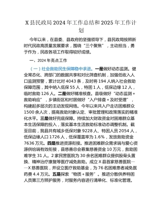 X县民政局2024年工作总结和2025年工作计划