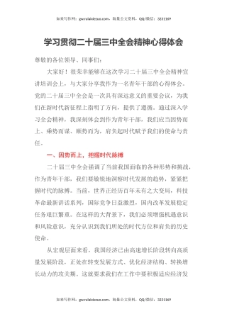 学习贯彻二十届三中全会精神心得体会