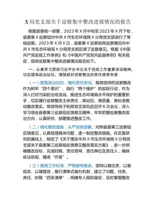X局党支部关于巡察集中整改进展情况的报告