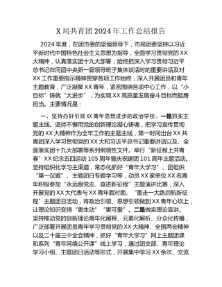 X局共青团2024年工作总结报告
