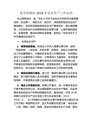 X市供销社2024年安全生产工作总结
