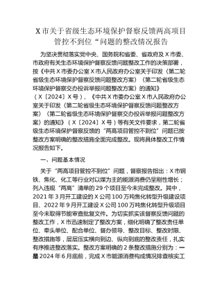 X市关于省级生态环境保护督察反馈两高项目管控不到位”问题的整改情况报告