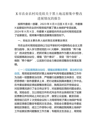 X市农业农村局党组关于黑土地巡察集中整改进展情况的报告