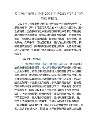 X市医疗保障局关于2024年法治政府建设工作情况的报告