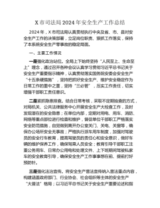X市司法局2024年安全生产工作总结