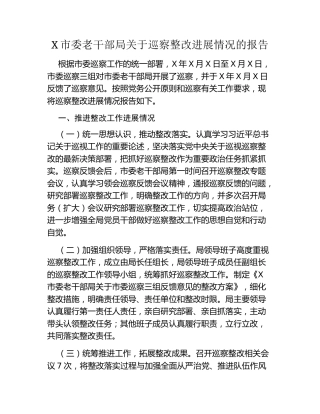 X市委老干部局关于巡察整改进展情况的报告