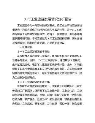X市工业旅游发展情况分析报告