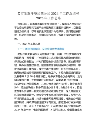 X市生态环境局某分局2024年工作总结和2025年工作思路