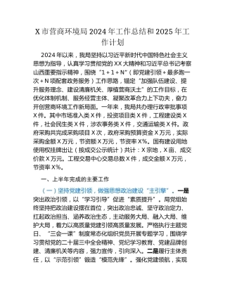 X市营商环境局2024年工作总结和2025年工作计划