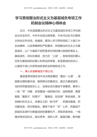 学习贯彻整治形式主义为基层减负专项工作机制会议精神心得体会