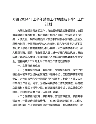 X镇2024年上半年禁毒工作总结及下半年工作计划
