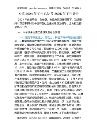 X镇2024年工作总结及2025年工作计划（2）